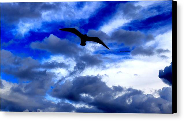 Flying In The Blue - Canvas Print - Customizable