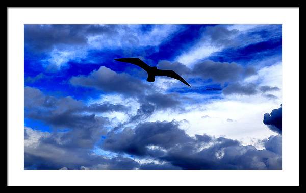 Flying In The Blue - Framed Print - Customizable