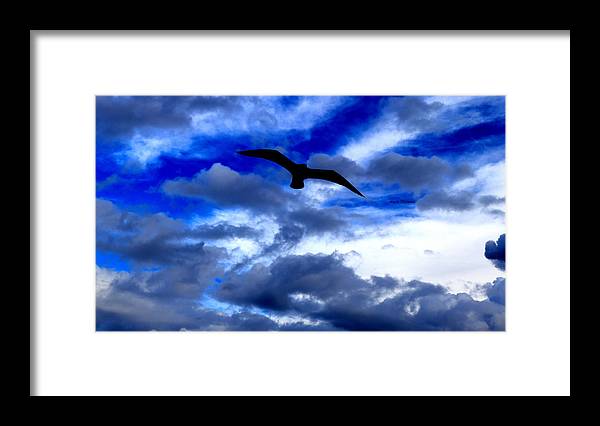 Flying In The Blue - Framed Print - Customizable