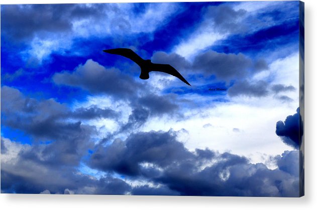 Flying In The Blue - Acrylic Print - Customizable