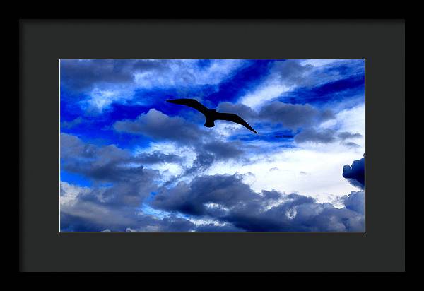 Flying In The Blue - Framed Print - Customizable