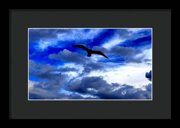 Flying In The Blue - Framed Print - Customizable