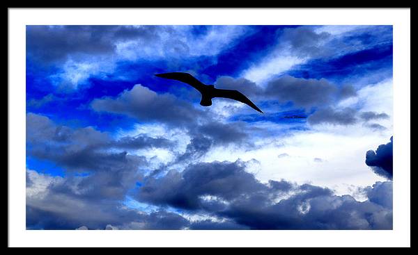 Flying In The Blue - Framed Print - Customizable