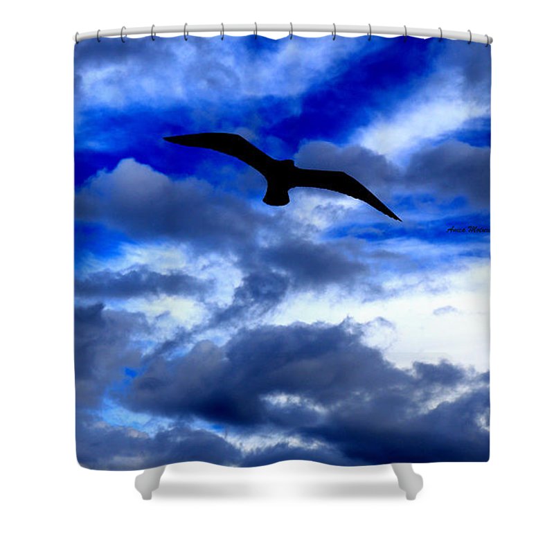 Flying In The Blue - Shower Curtain - Customizable