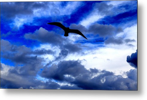 Flying In The Blue - Metal Print - Customizable