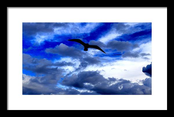 Flying In The Blue - Framed Print - Customizable