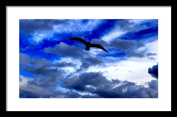 Flying In The Blue - Framed Print - Customizable