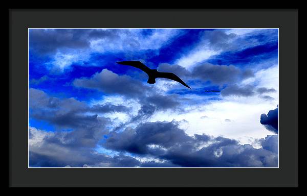 Flying In The Blue - Framed Print - Customizable