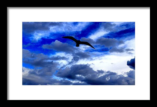 Flying In The Blue - Framed Print - Customizable