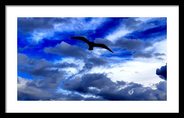 Flying In The Blue - Framed Print - Customizable