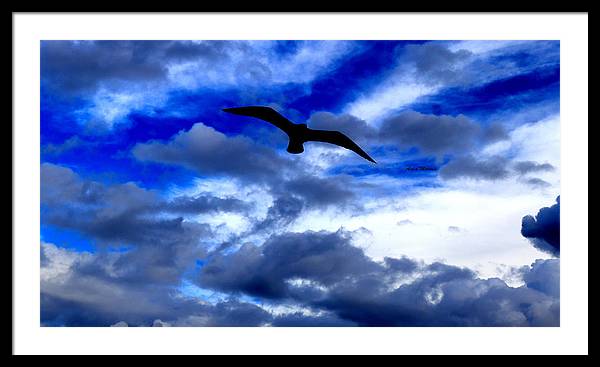 Flying In The Blue - Framed Print - Customizable