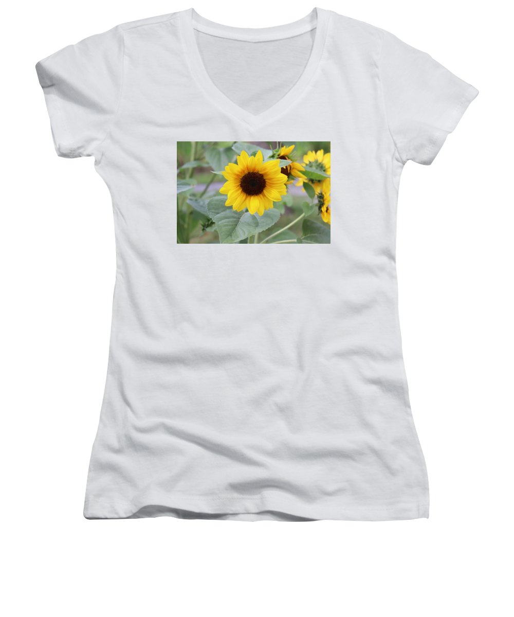 Sunflower Glory - Women's V-Neck - Customizable