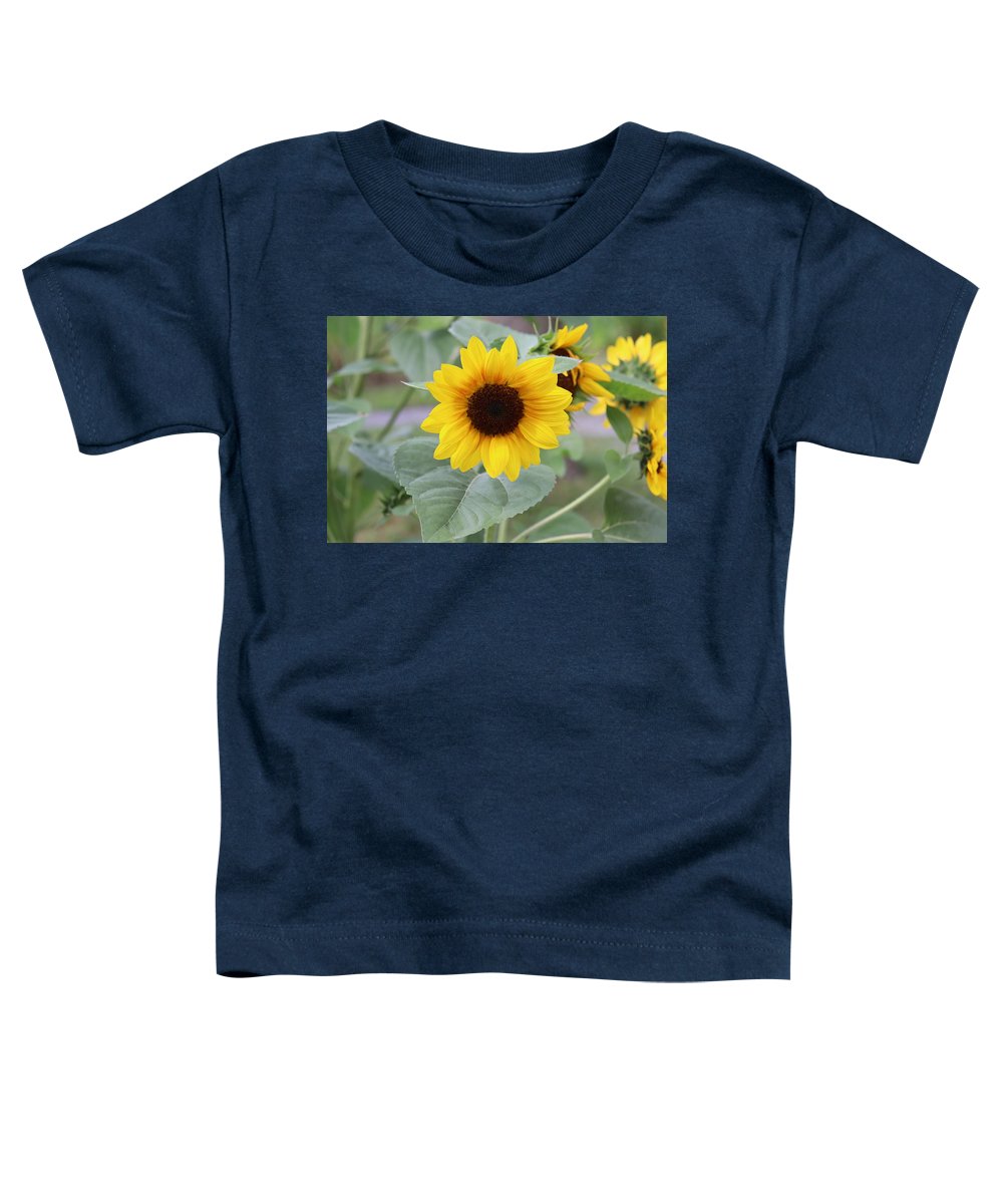 Sunflower Glory - Toddler T-Shirt - Customizable