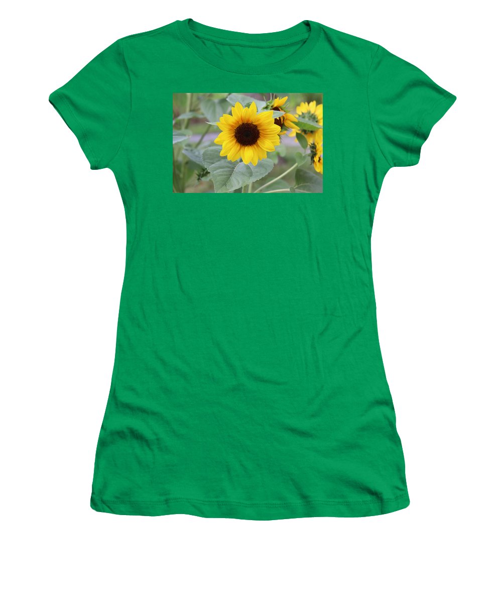 Sunflower Glory - Women's T-Shirt - Customizable