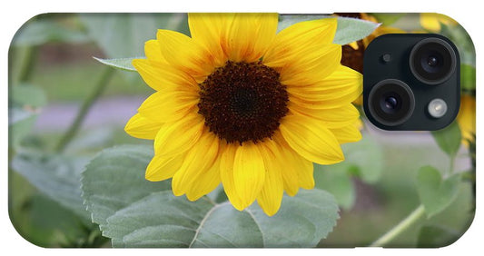 Sunflower Glory - Phone Case - Customizable