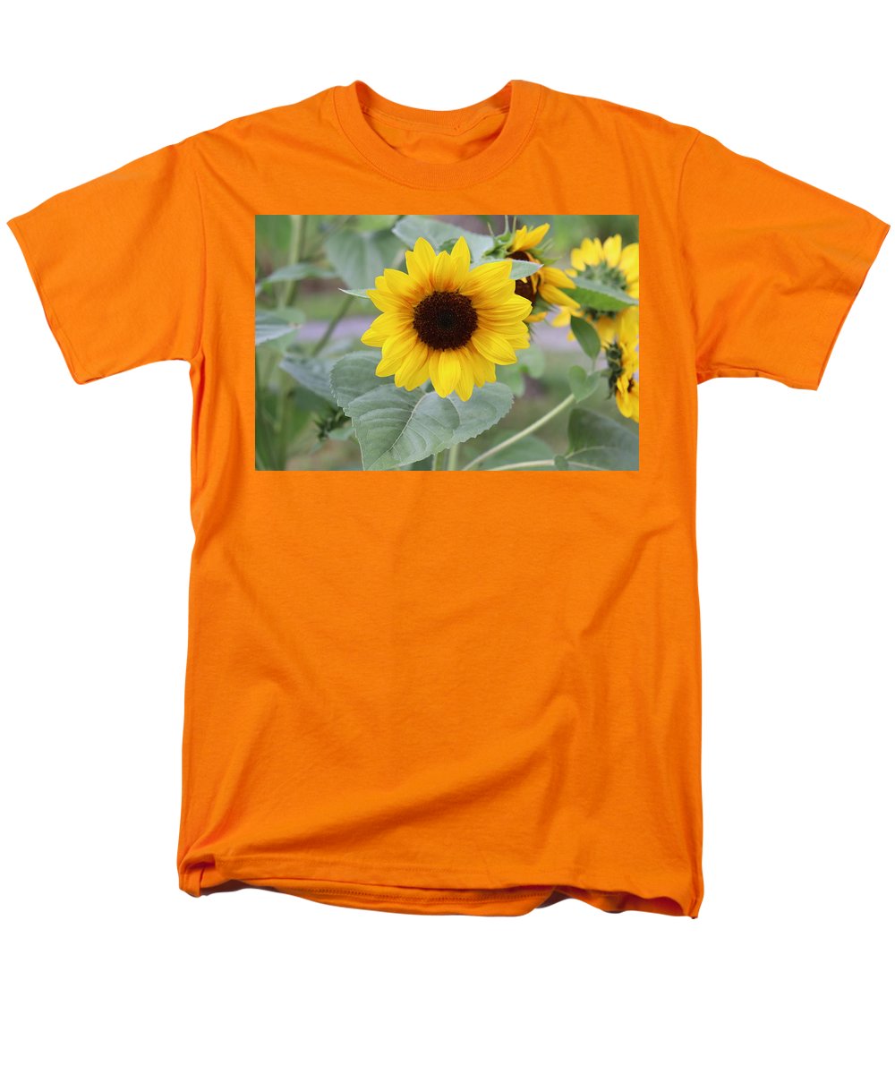 Sunflower Glory - Men's T-Shirt  (Regular Fit) - Customizable