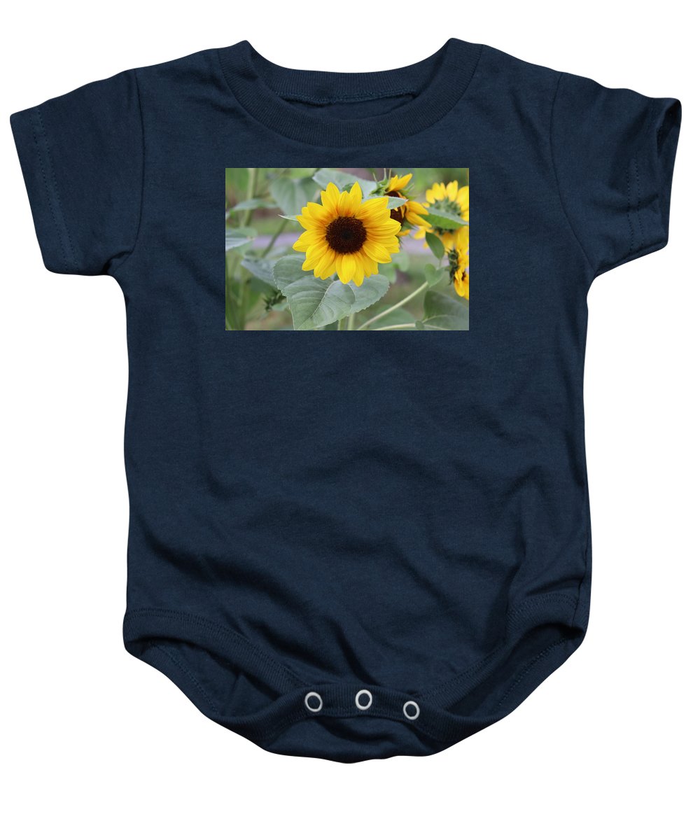 Sunflower Glory - Baby Onesie - Customizable