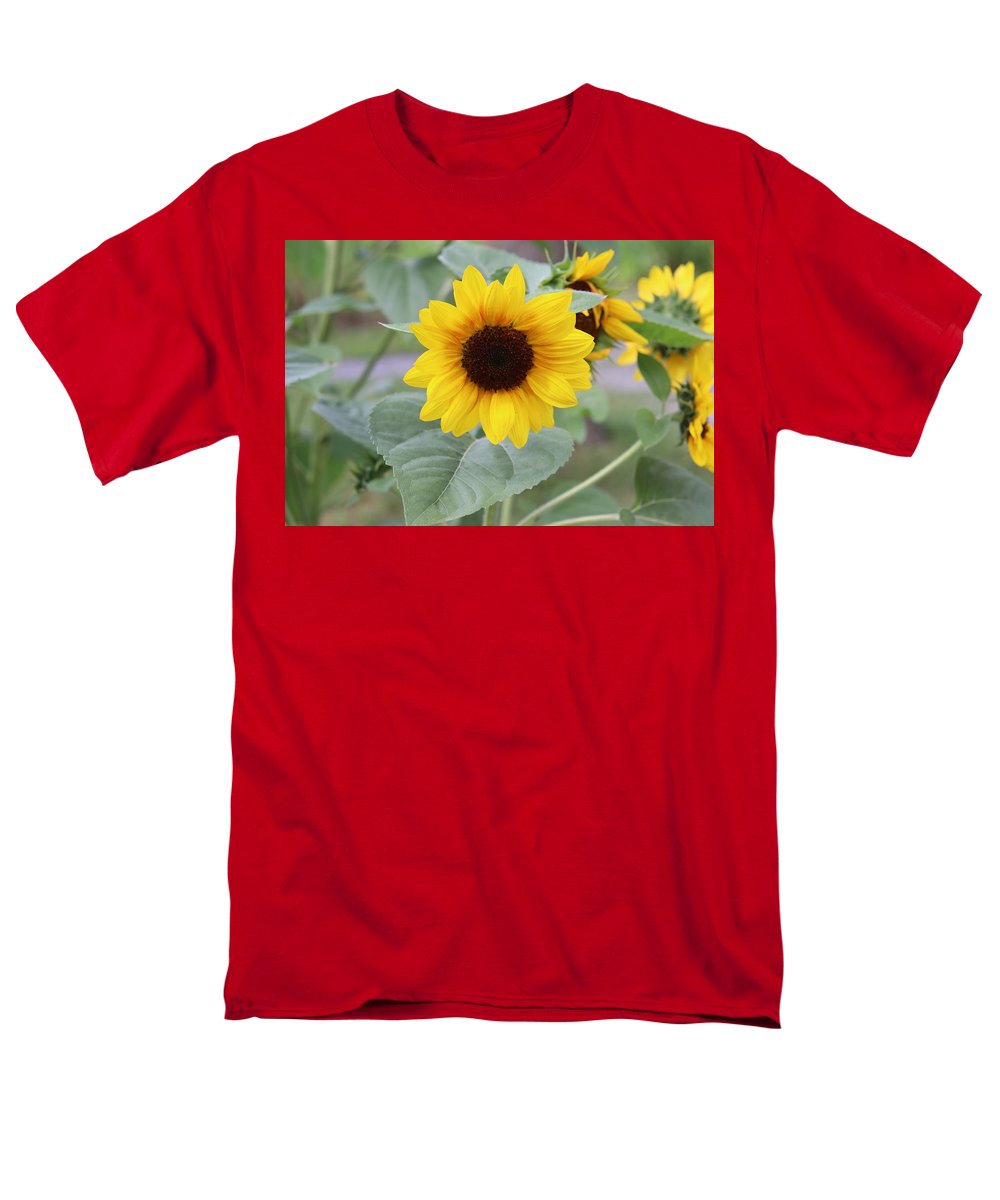 Sunflower Glory - Men's T-Shirt  (Regular Fit) - Customizable