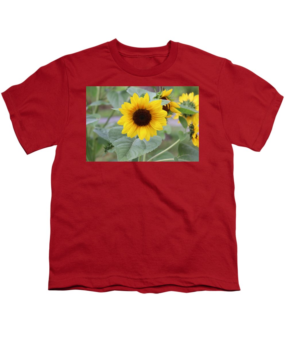 Sunflower Glory - Youth T-Shirt - Customizable