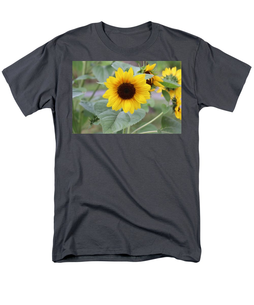 Sunflower Glory - Men's T-Shirt  (Regular Fit) - Customizable