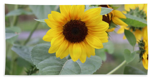 Sunflower Glory - Beach Towel - Customizable