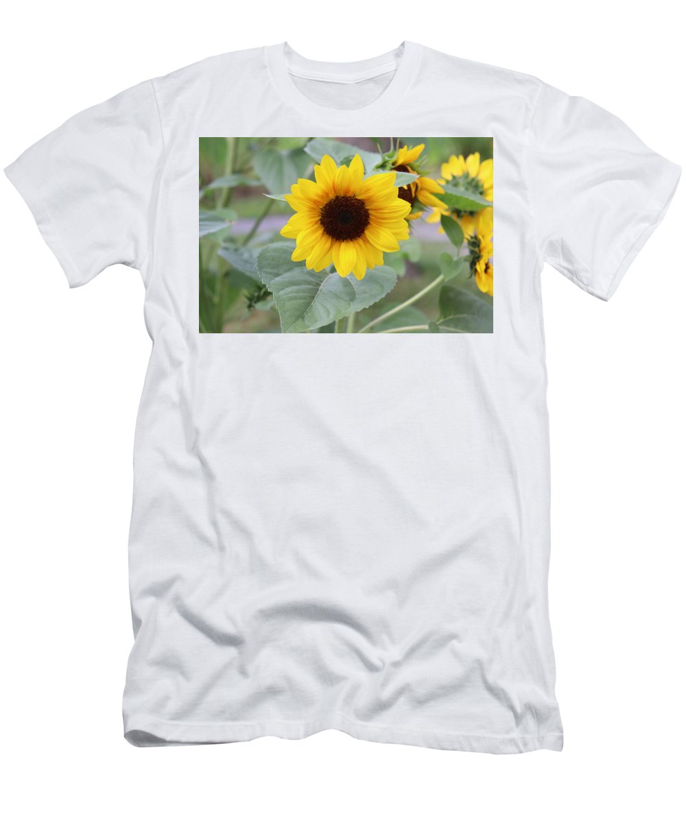 Sunflower Glory - T-Shirt - Customizable