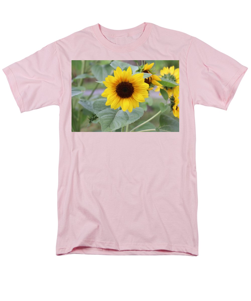 Sunflower Glory - Men's T-Shirt  (Regular Fit) - Customizable