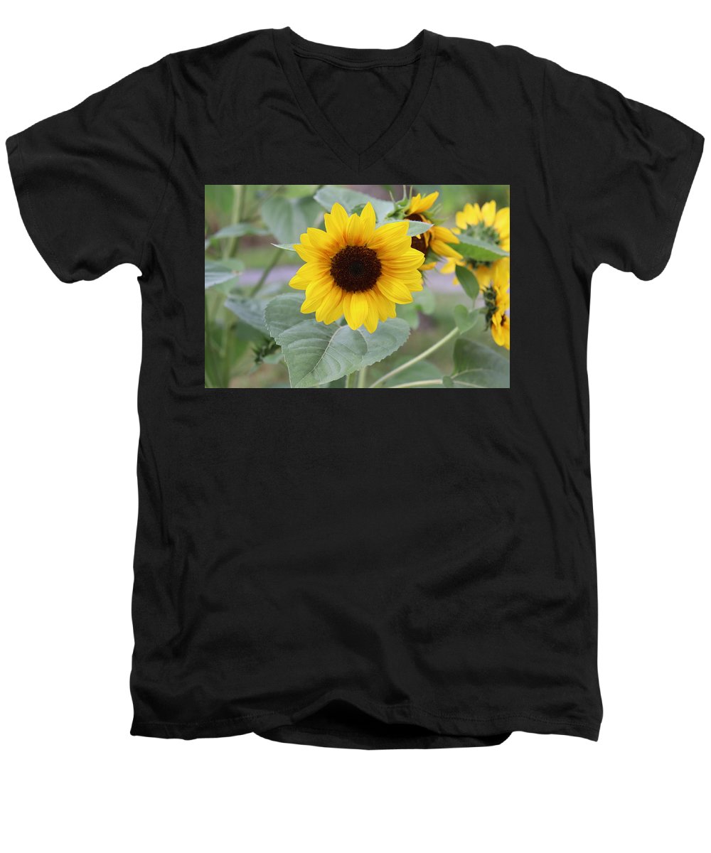 Sunflower Glory - Men's V-Neck T-Shirt - Customizable