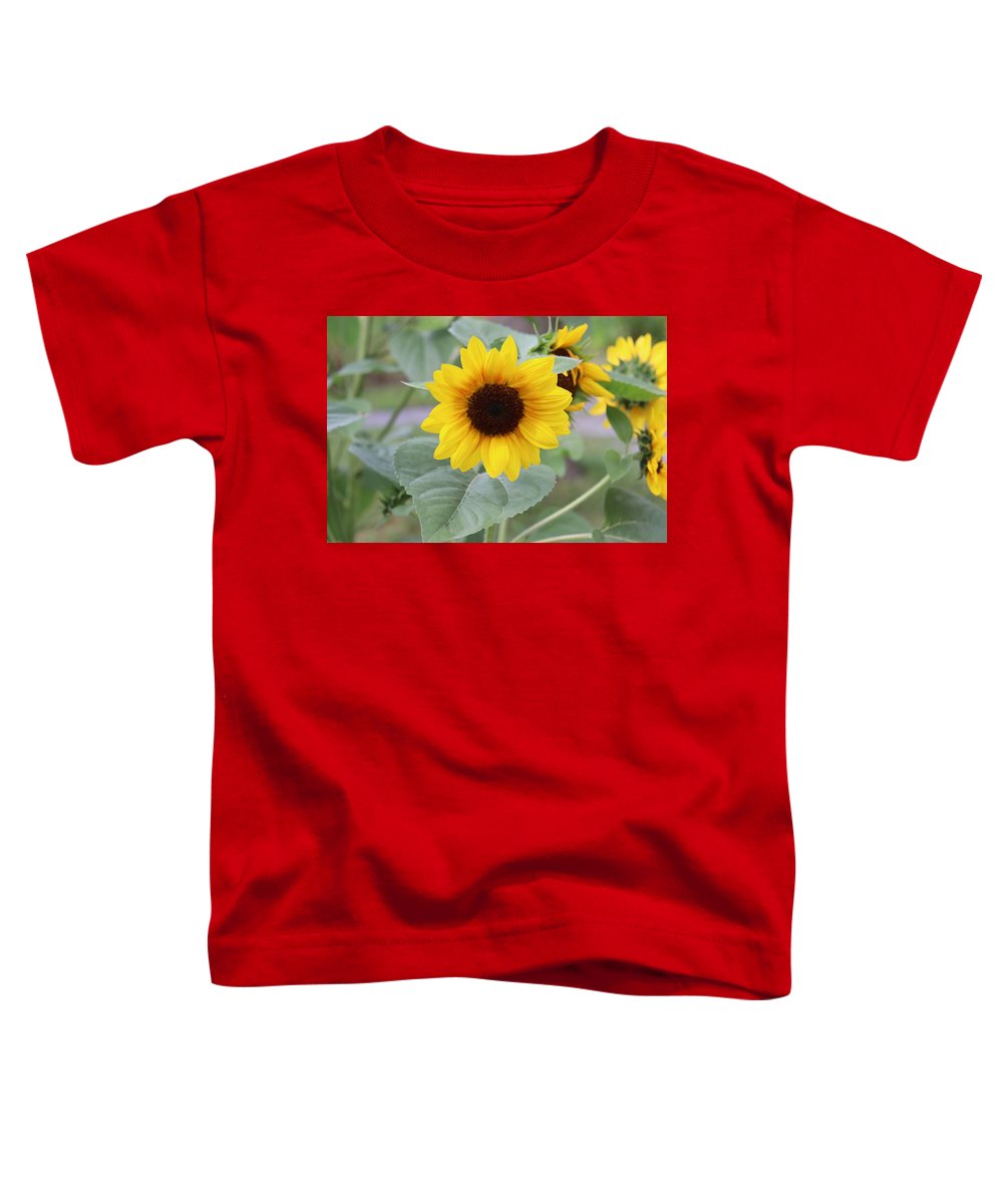 Sunflower Glory - Toddler T-Shirt - Customizable