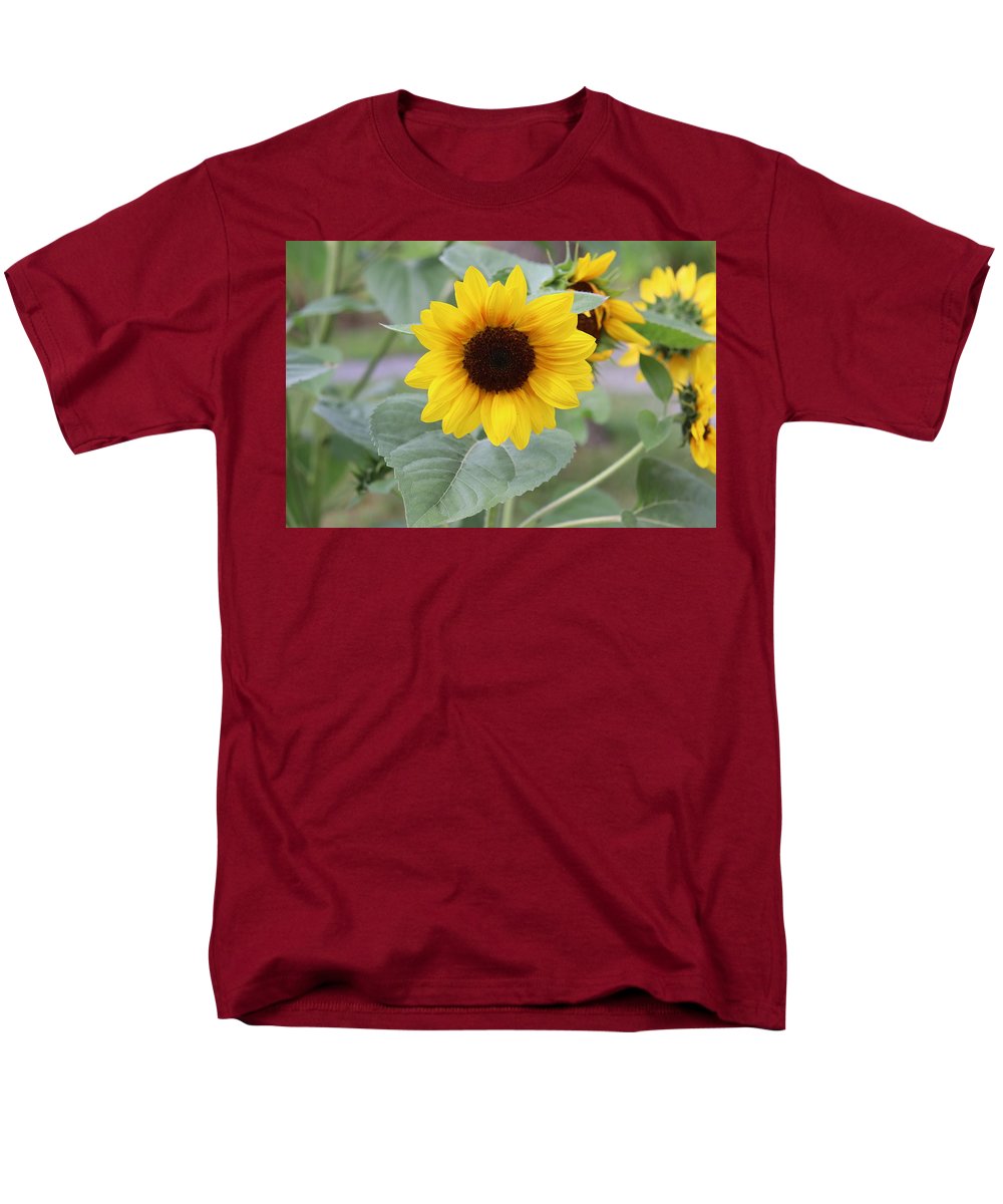 Sunflower Glory - Men's T-Shirt  (Regular Fit) - Customizable