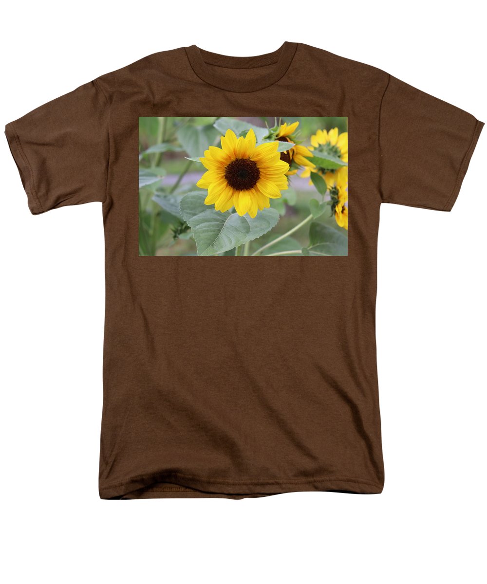 Sunflower Glory - Men's T-Shirt  (Regular Fit) - Customizable