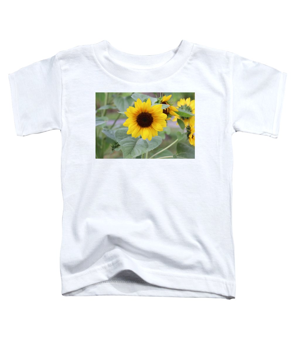 Sunflower Glory - Toddler T-Shirt - Customizable