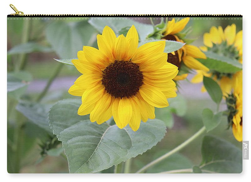 Sunflower Glory - Zip Pouch - Customizable