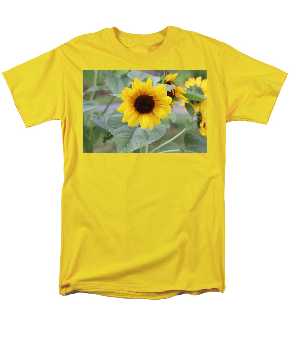 Sunflower Glory - Men's T-Shirt  (Regular Fit) - Customizable