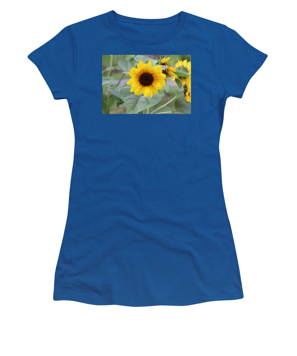 Sunflower Glory - Women's T-Shirt - Customizable