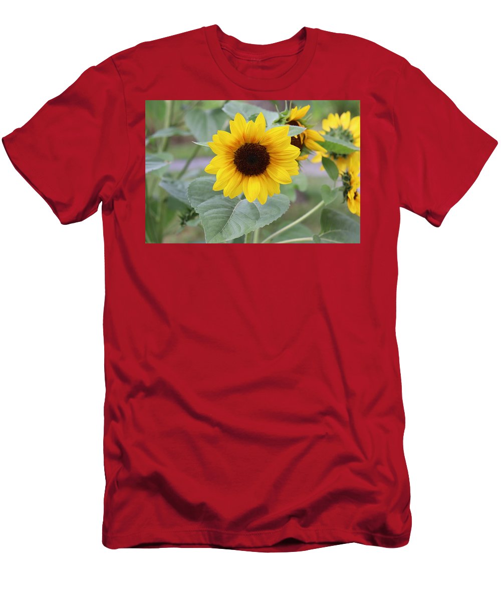 Sunflower Glory - T-Shirt - Customizable