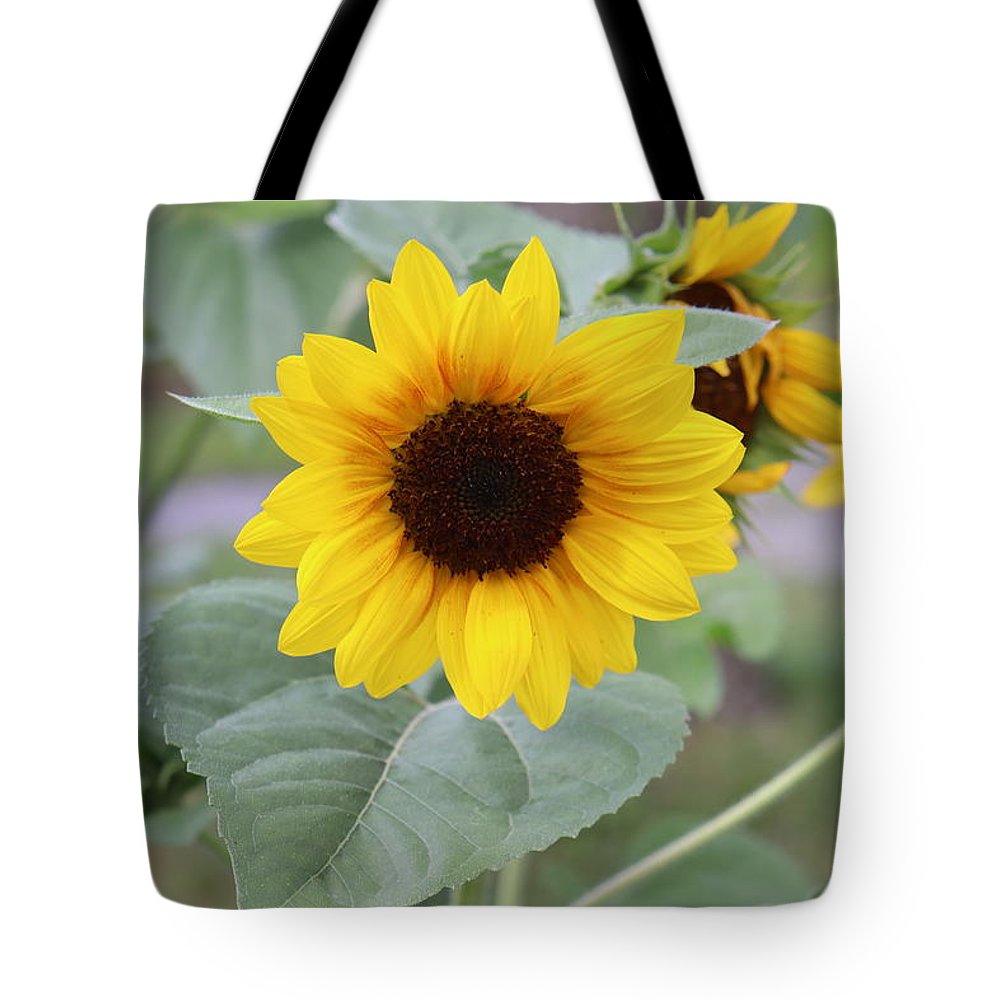 Sunflower Glory - Tote Bag - Customizable