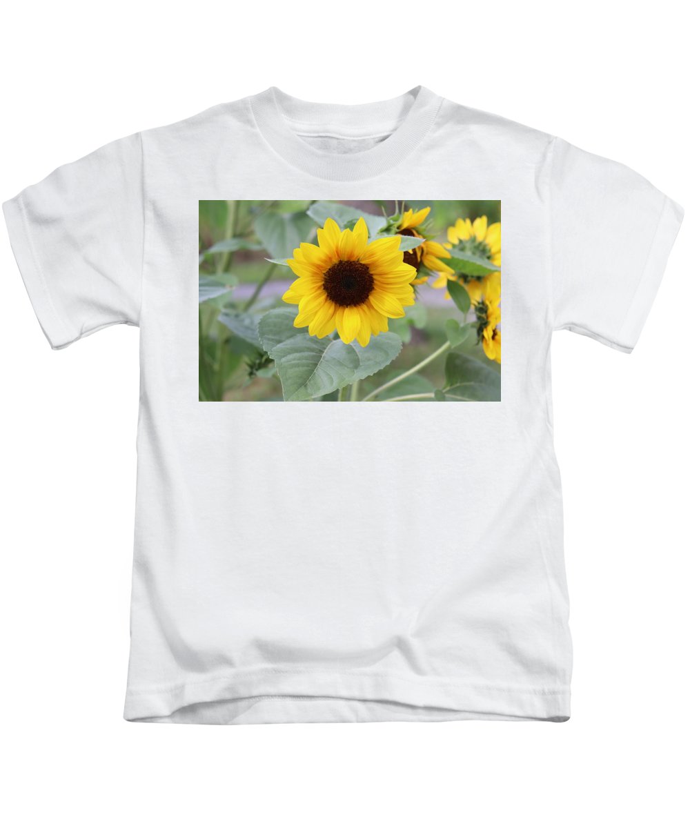 Sunflower Glory - Kids T-Shirt - Customizable