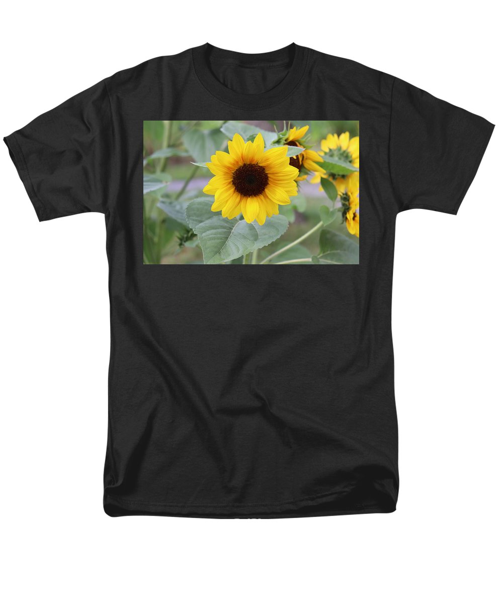 Sunflower Glory - Men's T-Shirt  (Regular Fit) - Customizable