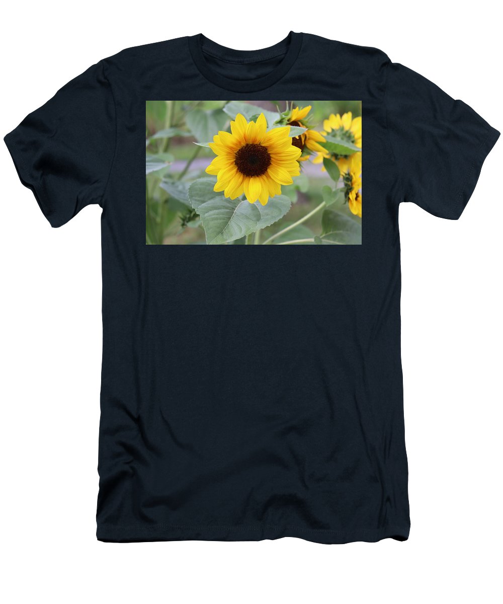 Sunflower Glory - T-Shirt - Customizable