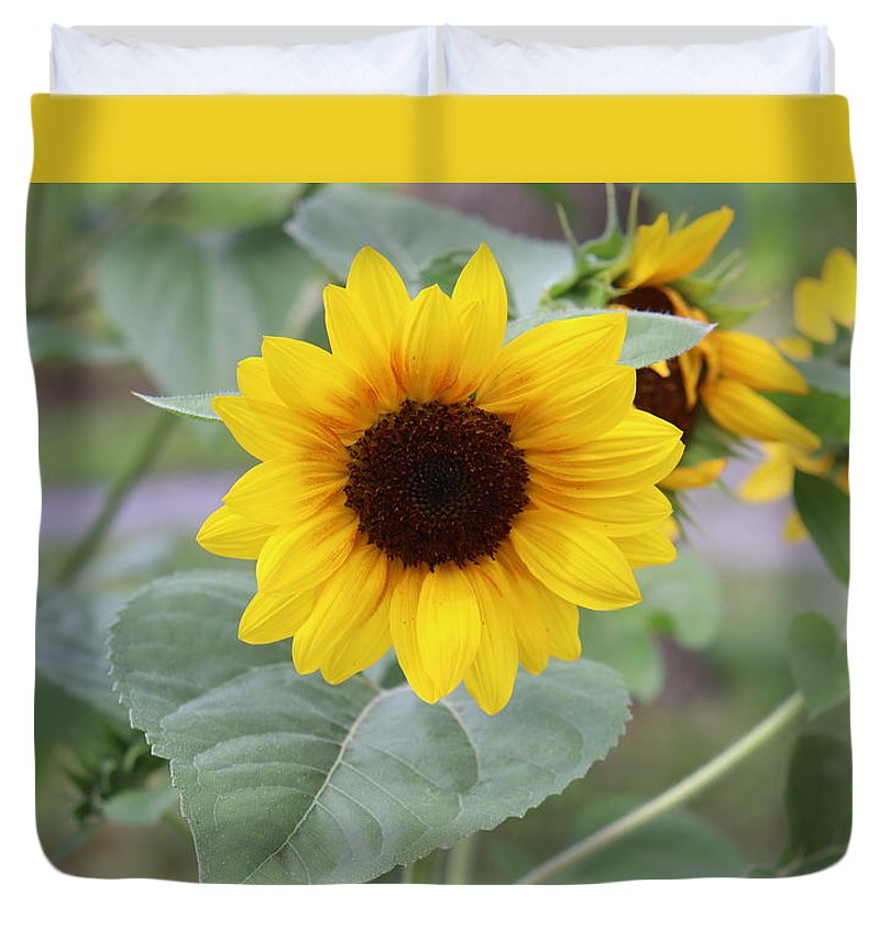 Sunflower Glory - Duvet Cover - Customizable