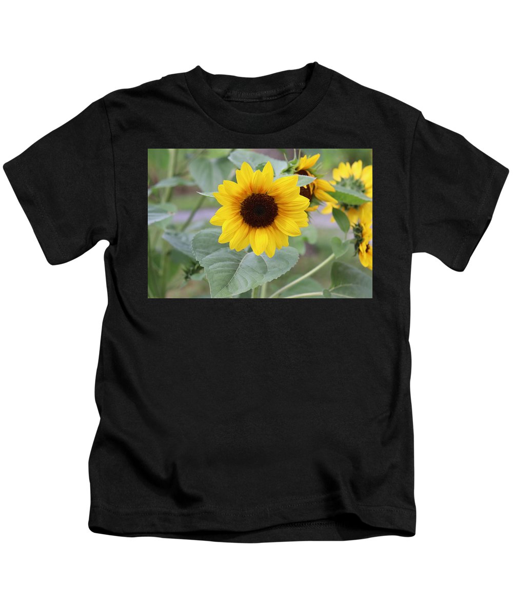 Sunflower Glory - Kids T-Shirt - Customizable