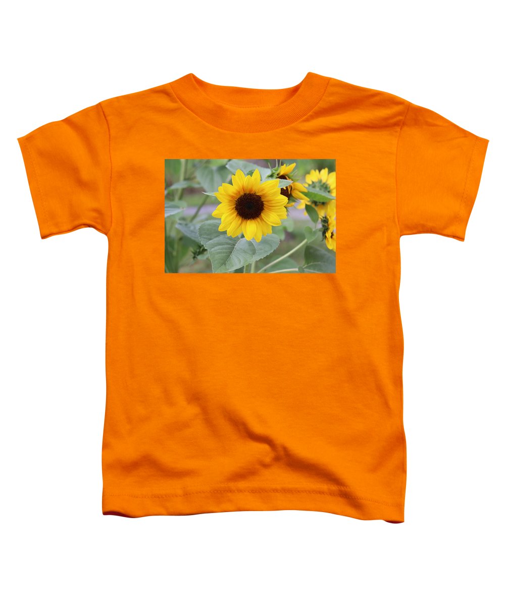 Sunflower Glory - Toddler T-Shirt - Customizable