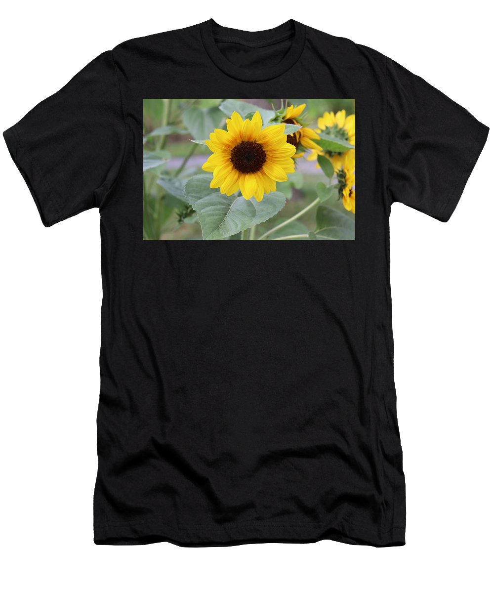 Sunflower Glory - T-Shirt - Customizable