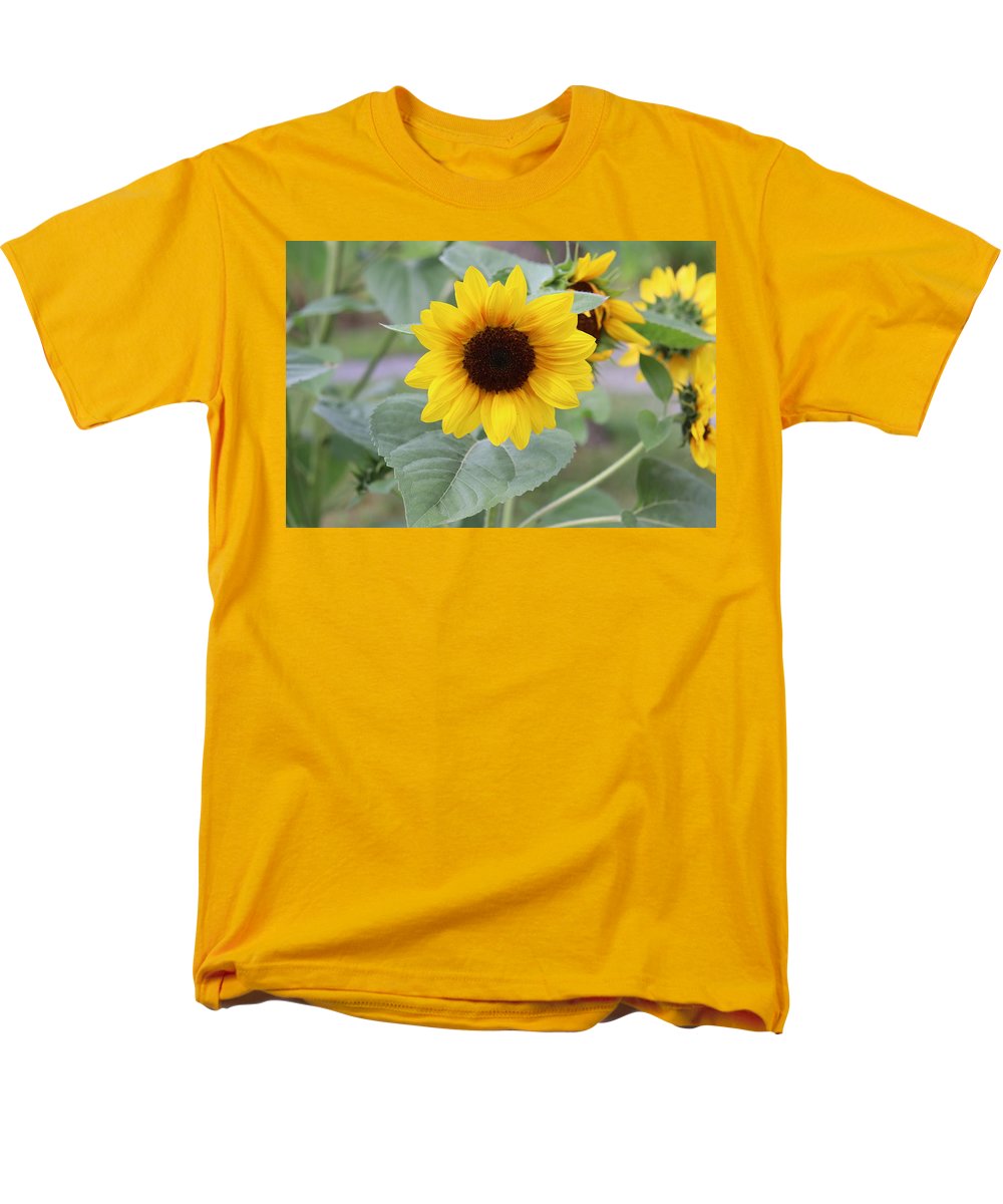 Sunflower Glory - Men's T-Shirt  (Regular Fit) - Customizable