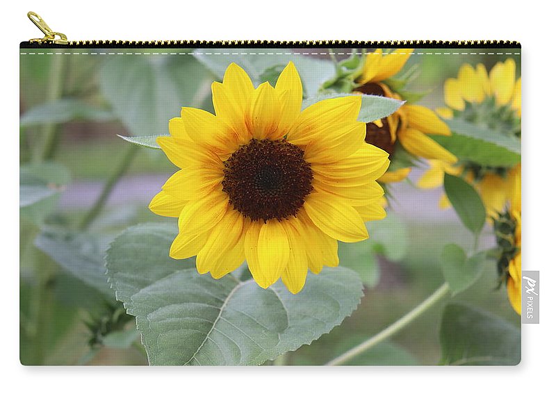 Sunflower Glory - Zip Pouch - Customizable