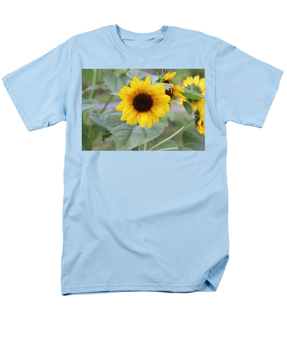 Sunflower Glory - Men's T-Shirt  (Regular Fit) - Customizable