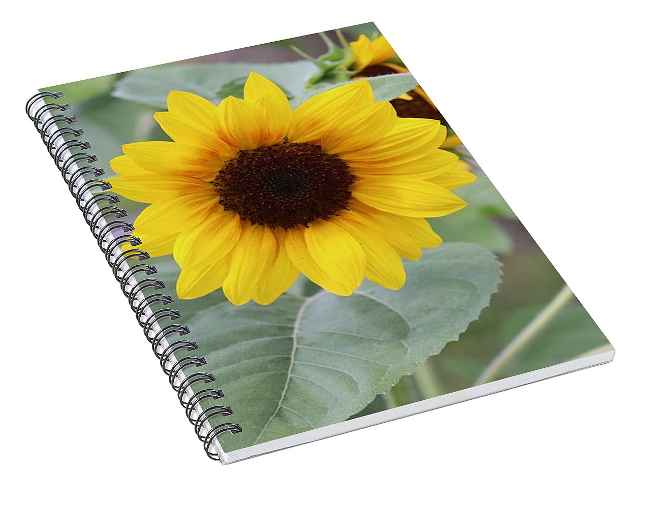 Sunflower Glory - Spiral Notebook - Customizable