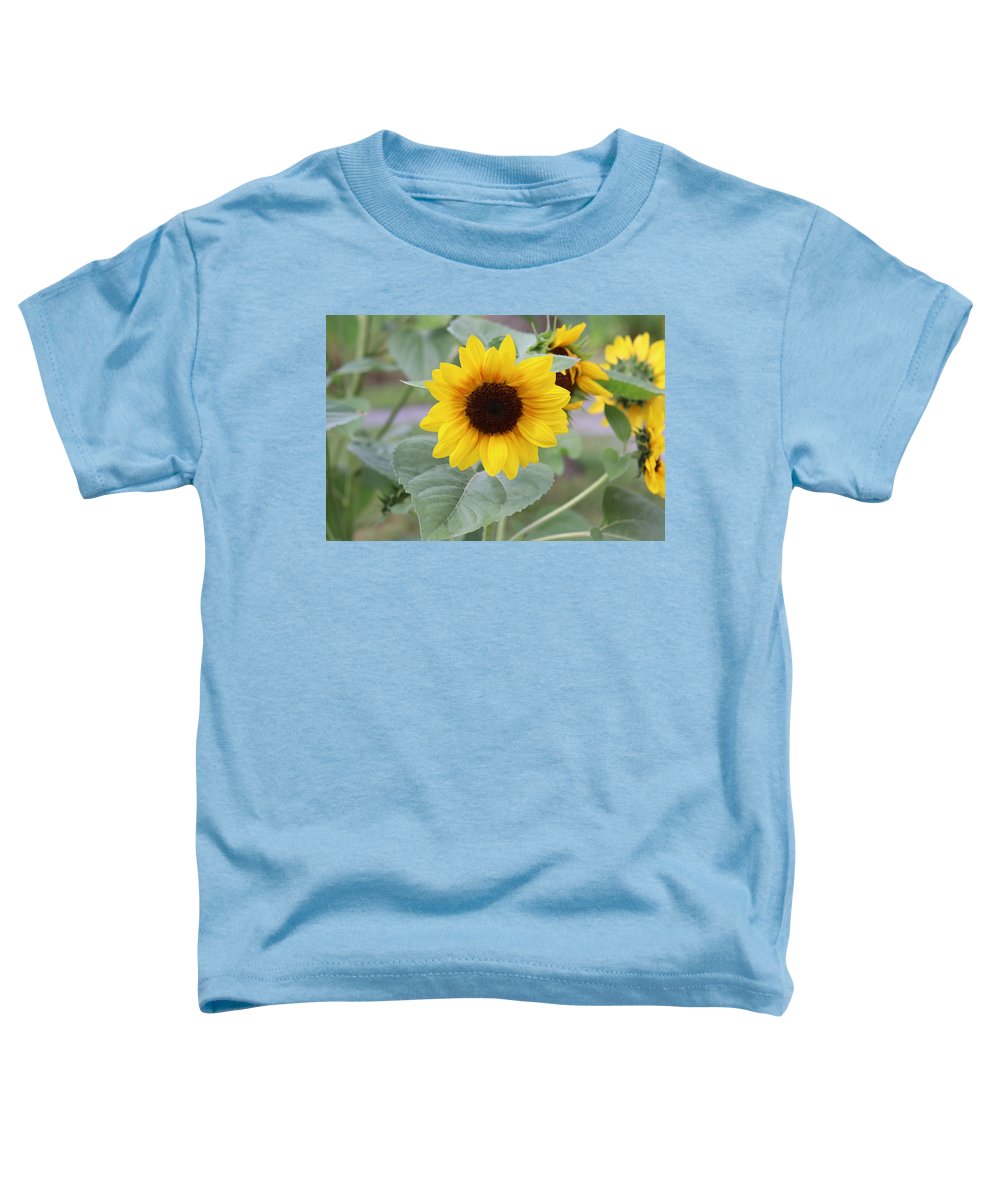 Sunflower Glory - Toddler T-Shirt - Customizable