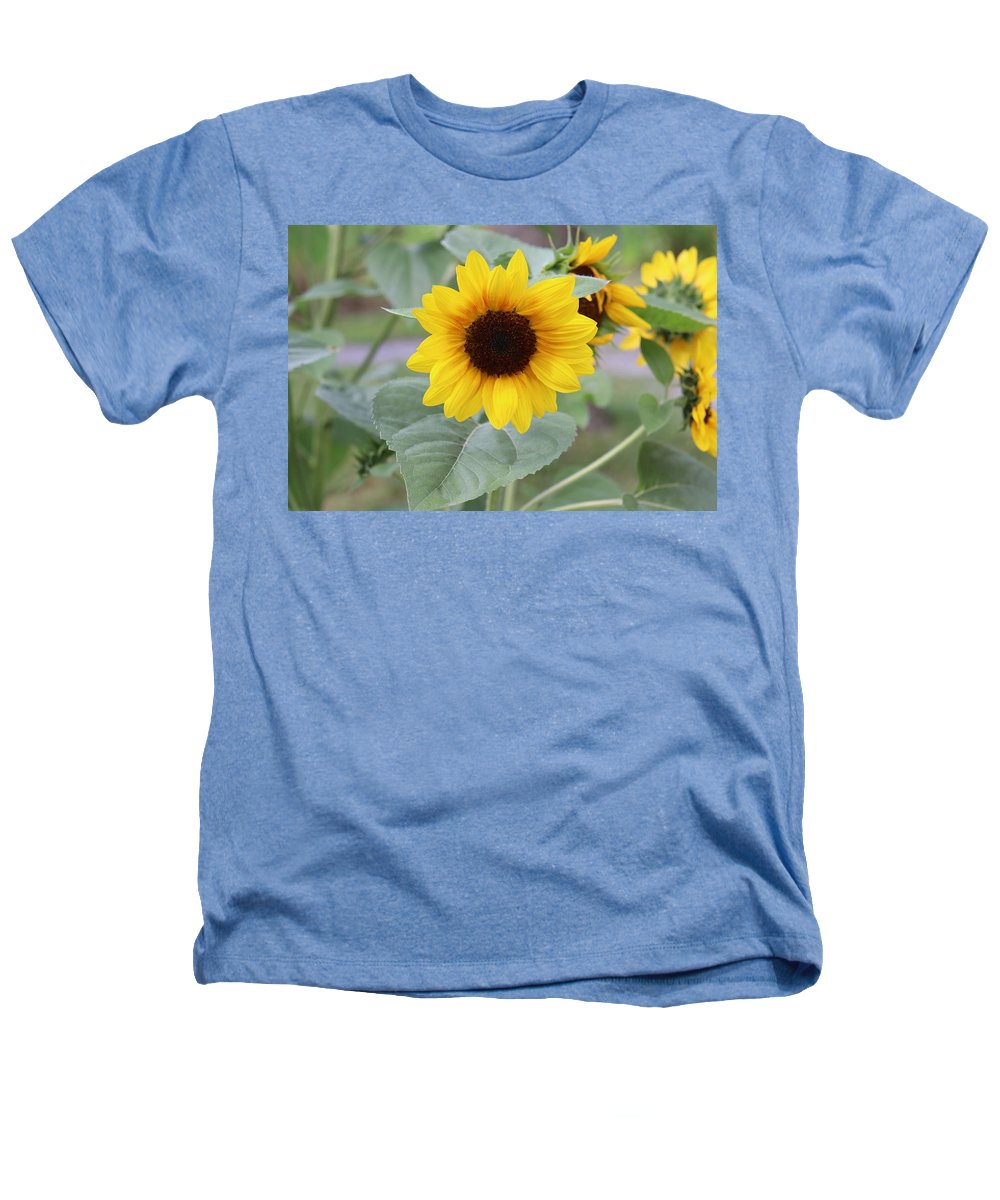 Sunflower Glory - Heathers T-Shirt - Customizable